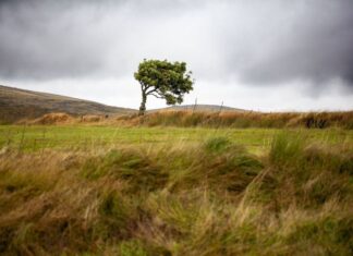 OPINIÓN. Cambio de época
