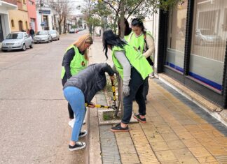 Plan de Arbolado: capacitan una cuadrilla de mujeres para la poda