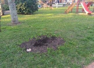 Lamentan actos de vandalismos en espacios públicos