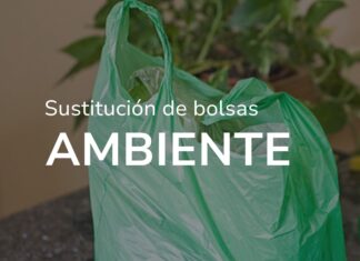 En Caseros aplican el programa de sustitución de bolsas plásticas