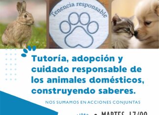 Zoonosis participará de una charla en Humanidades