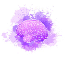 Concientización sobre Alzheimer: Se imparte el curso en Embarcados