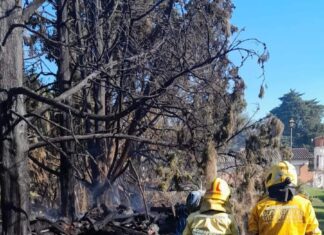 Instan a los uruguayenses a evitar efectuar quemas de pastizales