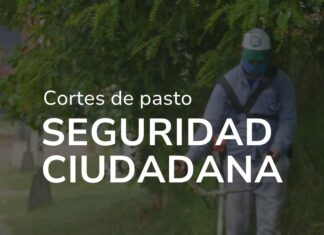 Corte de pasto y mantenimiento de terrenos y patios