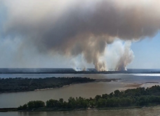Nuevas columnas de humo reflejan más incendios en las islas santafesinas frente a Entre Ríos