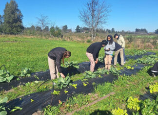 Escuelas Agrotécnicas participarán de la Expo Rural