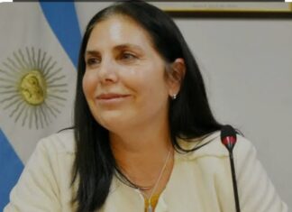 Gabriela Lena dio detalles sobre el proyecto de Ficha Limpia