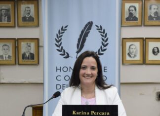 Puesta en valor del bulevar Yrigoyen: Presentaron en el Concejo un proyecto de comunicación