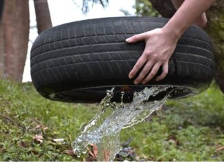 Renuevan la solicitud para evitar entre todos el Dengue