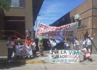 Docentes y ambientalistas aguardaron por la visita del Gobernador