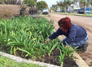 Espacios Verdes emprende el mantenimiento de los espacios públicos