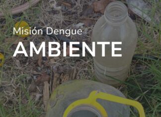 Misión dengue: Se instó a colaborar para evitar la reproducción del mosquito vector