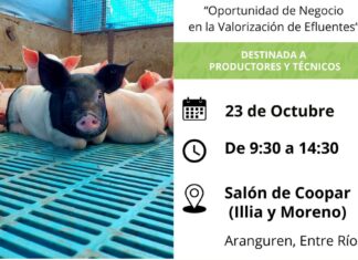 Capacitarán a productores sobre certificación ambiental de granjas porcinas