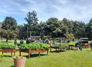 Exitosa 9ª Jornada de Educación Ambiental en el INTA