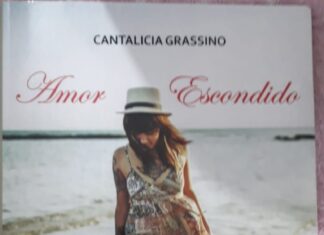 Publicaciones: Una nueva novela