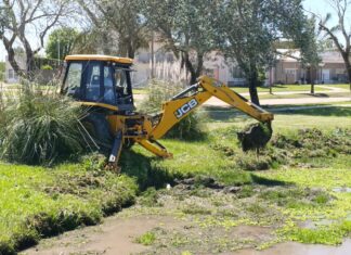 Espacios Verdes trabaja en el mantenimiento de la laguna del predio del ferrocarril