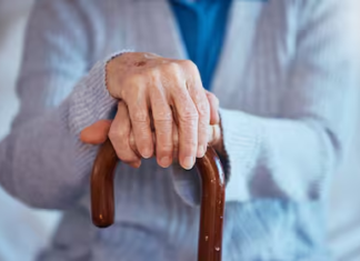 Transparencia en el uso de los recursos: Anses ya no podrá disponer de la plata de los jubilados para otorgar créditos