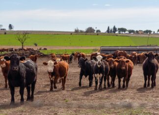 ATER: Las percepciones que se aplican a quienes no tributan Ingresos Brutos apuntan a sancionar la evasión