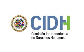 Derechos humanos: Las audiencias de la Comisión Interamericana en Argentina se pueden seguir por Youtube