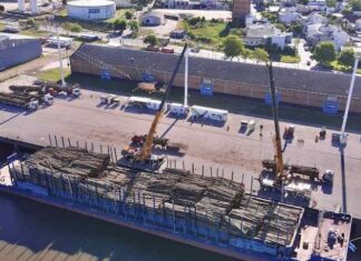 Exportaciones: Desde el Puerto se alcanzaron cifras que no se lograban desde 1999