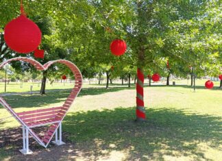 Caseros con espíritu navideño