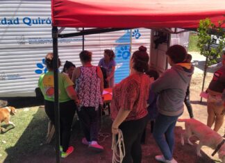 Salud: Un año con abordajes y trabajos constantes en Concepción del Uruguay