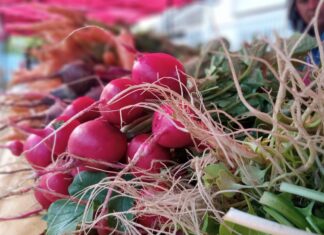 La Feria en tu Barrio prepara su regreso a San Roque