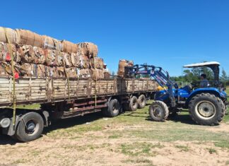 Comercializaron los materiales recuperados en la Planta de Revalorización de Residuos Sólidos