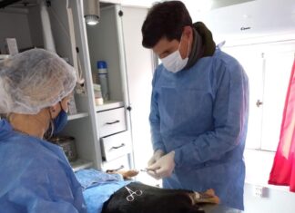 Castraciones y vacunaciones: Zoonosis continúa brindando turnos gratuitos