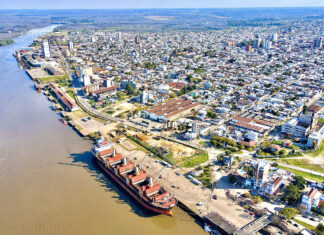 Entre Ríos se consolida como un polo exportador para la industria forestal