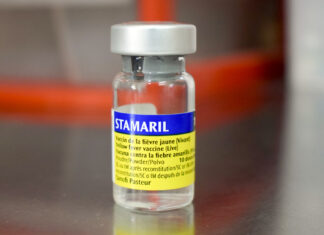 Recomiendan la vacunación contra la fiebre amarilla para los viajeros