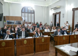 Con modificaciones, el Senado aprobó el Presupuesto 2025 y la ley de Fitosanitarios