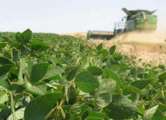 HOJAS SUELTAS… Inclemencias