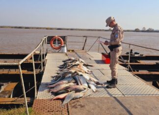 Realizan un balance en materia de preservación de recursos naturales y fiscalización