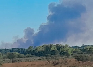 Incendios forestales: Ya hay más de 500 hectáreas incendiadas en Concordia
