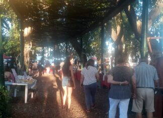 La Feria de Desarrollo Emprendedor tuvo una edición especial por Reyes en plaza Ramírez