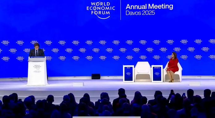 int - javier milei en davos1