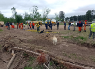Ya rige la emergencia ambiental para combatir incendios