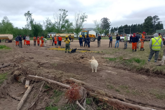 pro - ambiente - dictaron la emergencia ambiental1