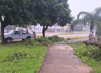 Se efectúa una limpieza general tras la tormenta