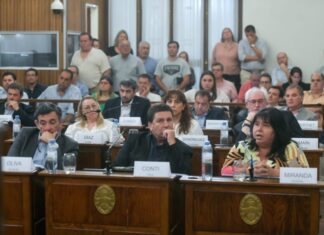 SENADORES. Oliva fue reelegido y podría sumar otra comisión