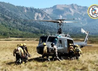 La brigada de bomberos forestales de Entre Ríos sigue combatiendo los incendios en Neuquén