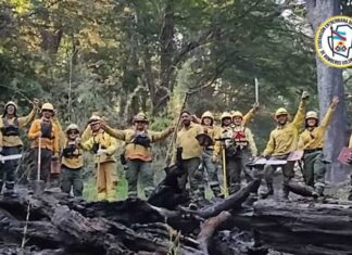 Incendicios forestales: Brigadistas entrerrianos finalizaron su trabajo en Neuquén
