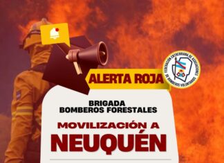Tras activarse la alerta roja, convocaron a los bomberos uruguayenses y entrerrianos para combatir los incendios en el sur