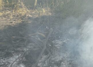 Controlaron un incendio de pastizales y un escape de gas