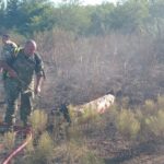 bomberos – intervención en zona de la defensa2