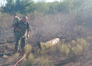 Incendios de pastizales: Un inicio de la semana agitado para los bomberos