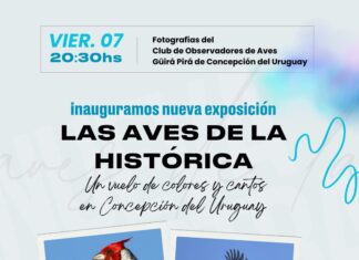 Exhiben la muestra fotográfica Las aves de la Histórica