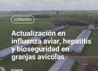 El INTA transmite la actualización en influenza destinada a productores y granjeros