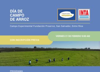 El INTA se prepara su Día de Campo de Arroz